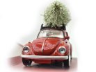 Volkswagen VW Beetle (Broscuță) – cu brad – ediție de Crăciun în cutie decorativă – Norev – 1:43