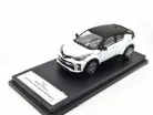 Toyota C-HR Hybrid GR Sport - DieCastTeam - 1:64 model auto